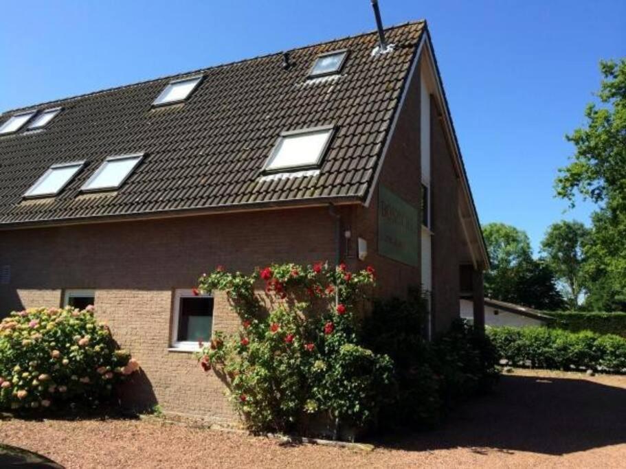 Boszicht 3 Appartement In Oostkapelle Eksteriør bilde