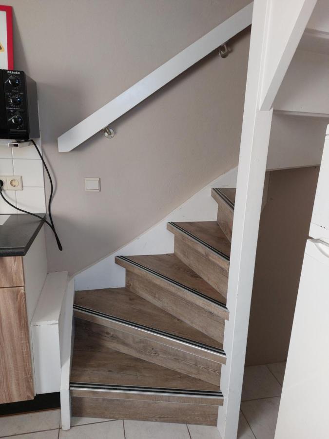 Boszicht 3 Appartement In Oostkapelle Eksteriør bilde